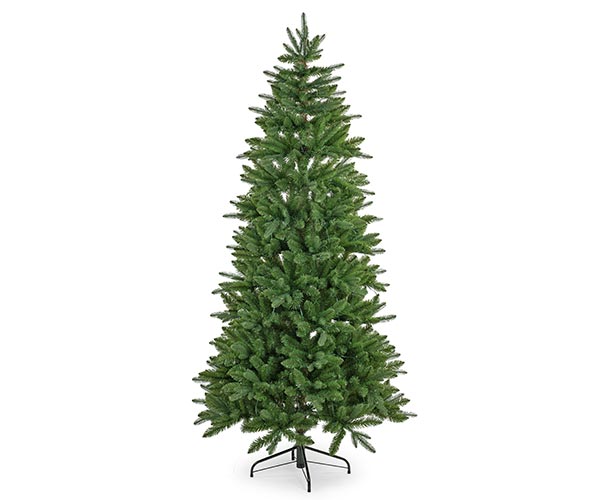Abete Colorado h180 cm 852 tips