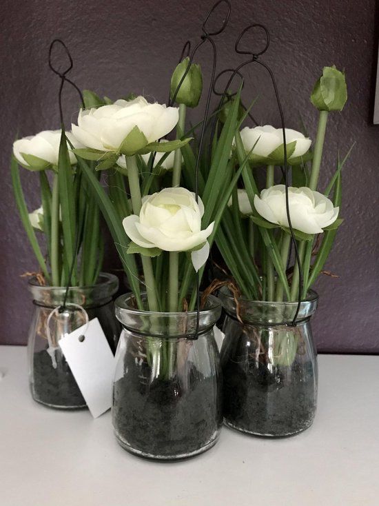 Vasetto con piantina in vetro