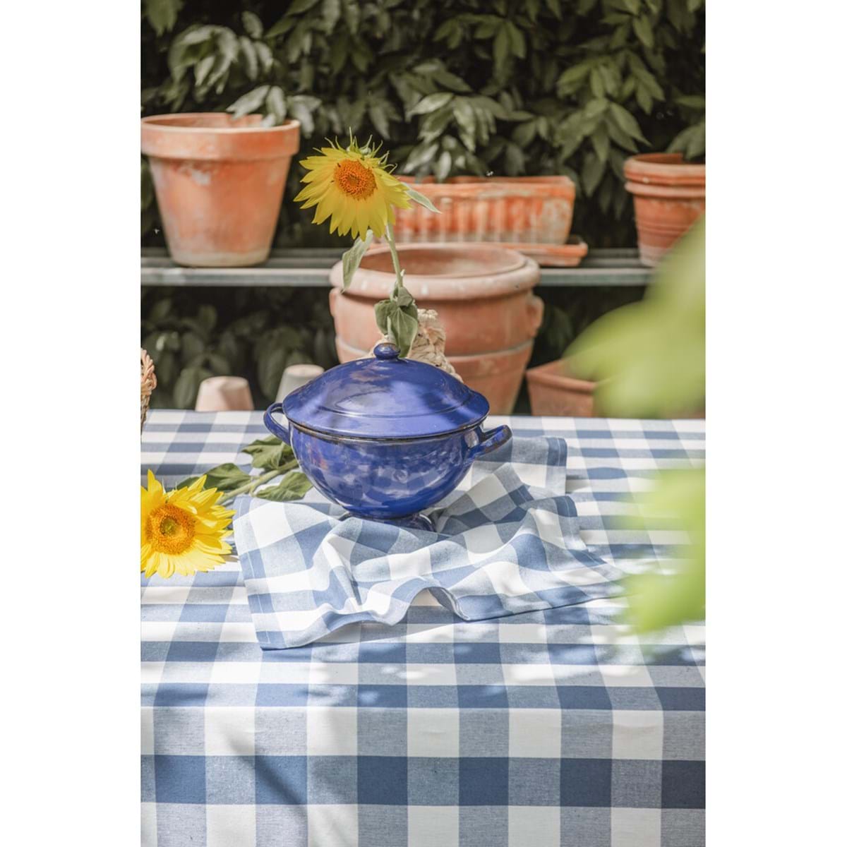 Tovaglia a quadri 150 X 240 cm | Blanc Mariclò
