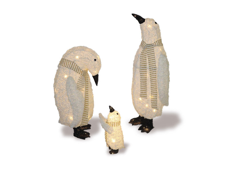 Set pinguini
