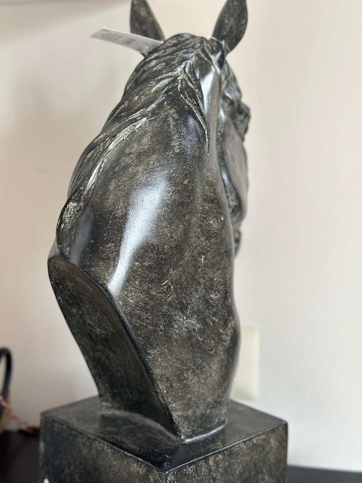 Decoro testa cavallo