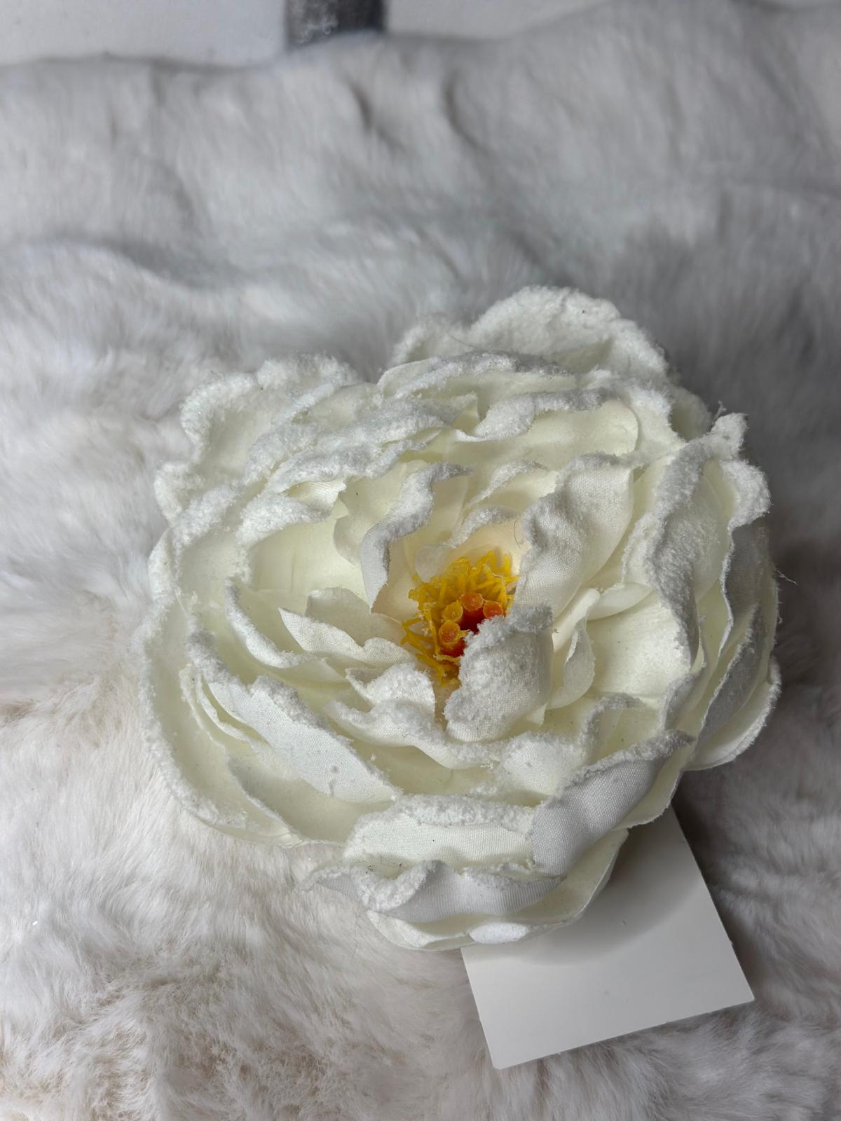 Peonia innevata con clip