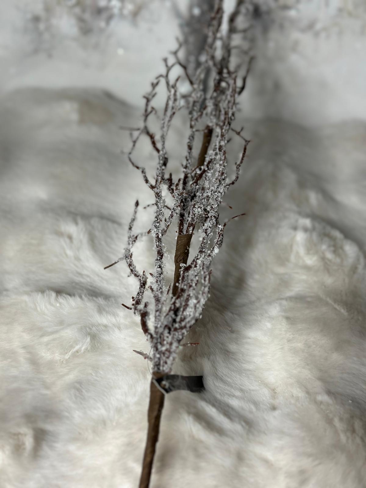 Ramo marrone innevato