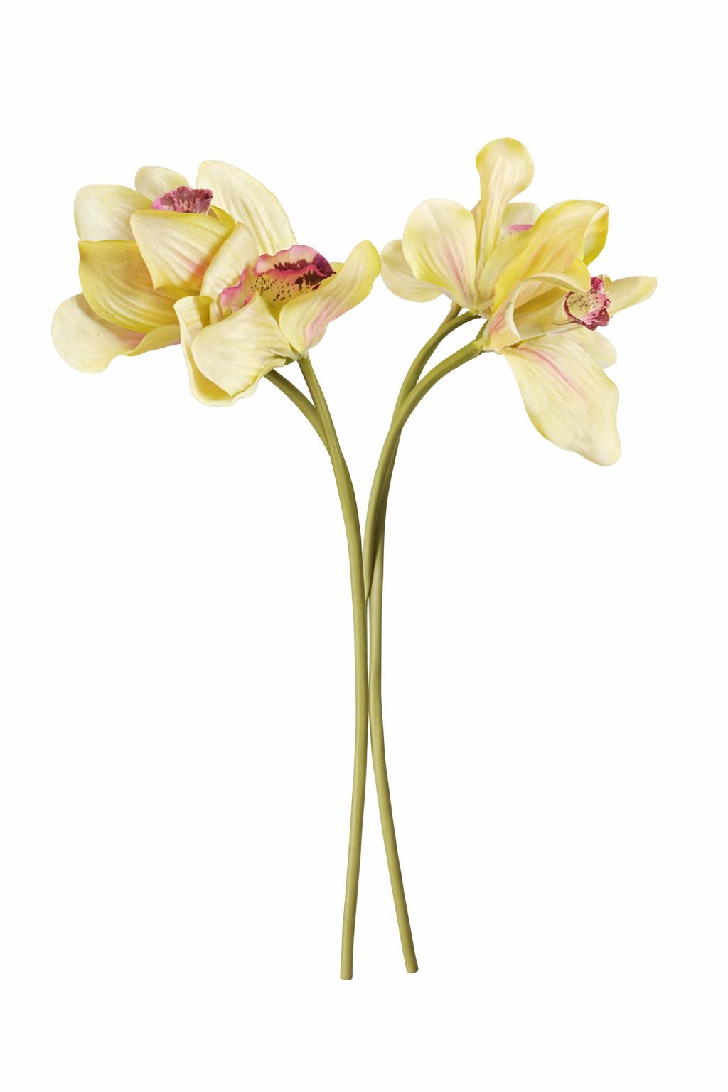 Fiori verdi e rosa artificiali |Bruco