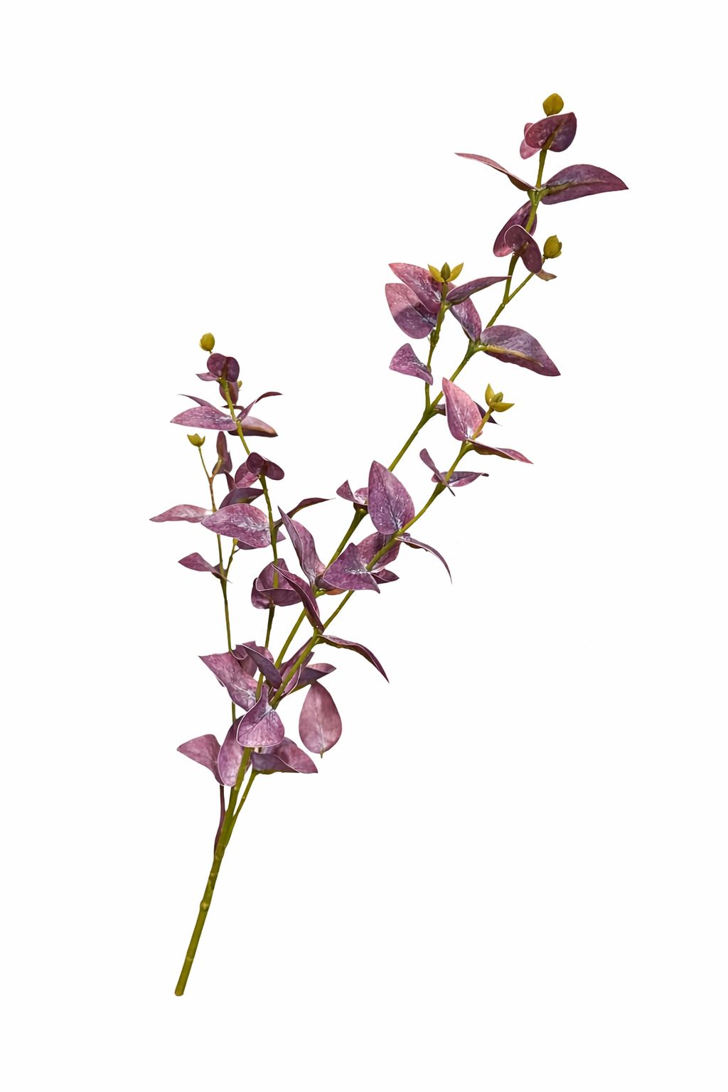 Ramo foglie viola|Belda