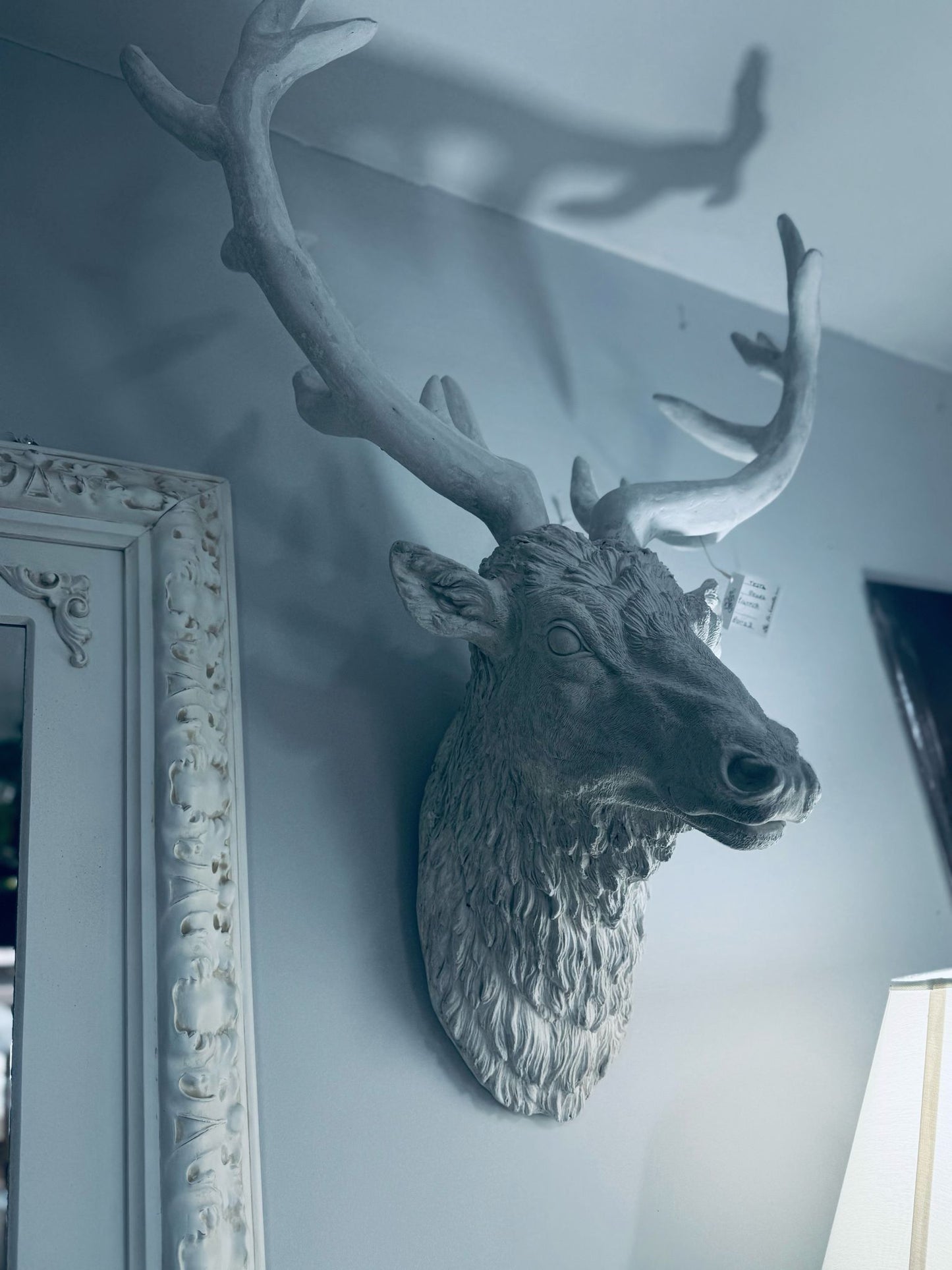 Testa Renna decorativa bianca da appendere