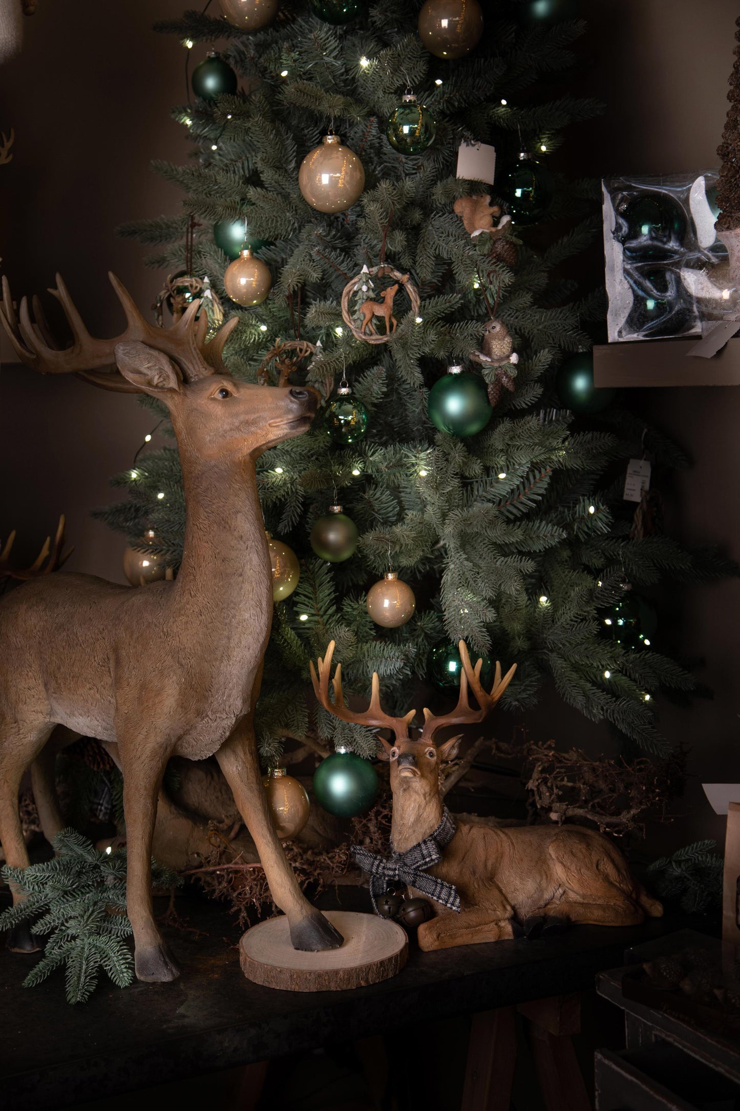 Renna seduta con fiocco e campanelle