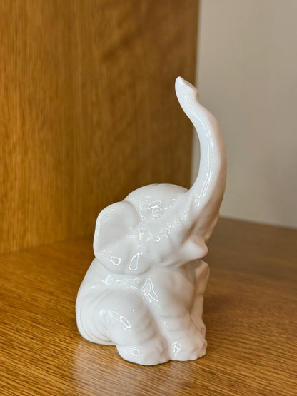 Elefantino portafortuna