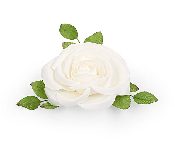 Rosa bianca 500-300mm| Carta I Bassanesi