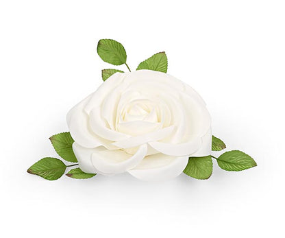 Rosa bianca 500-300mm| Carta I Bassanesi
