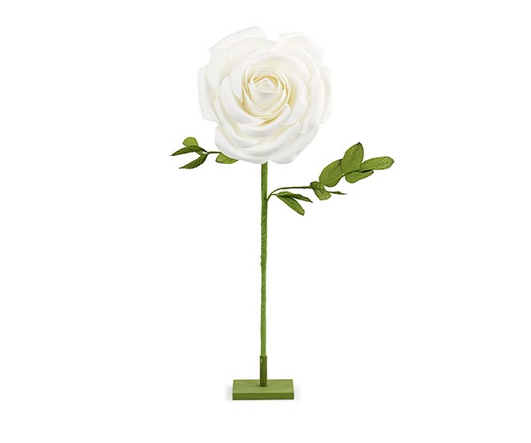Rosa bianca con stelo | Carta I Bassanesi