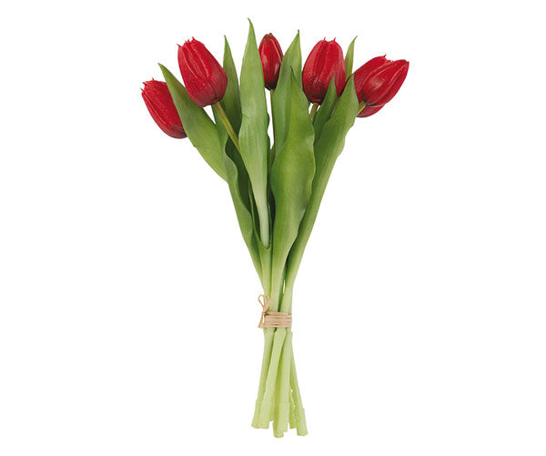MAZZO 7 TULIPANI ROSSI
