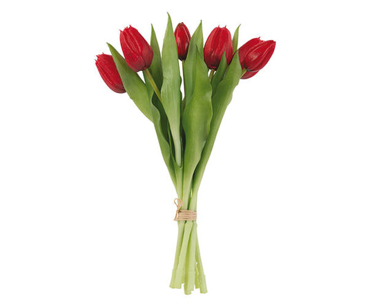 MAZZO 7 TULIPANI ROSSI