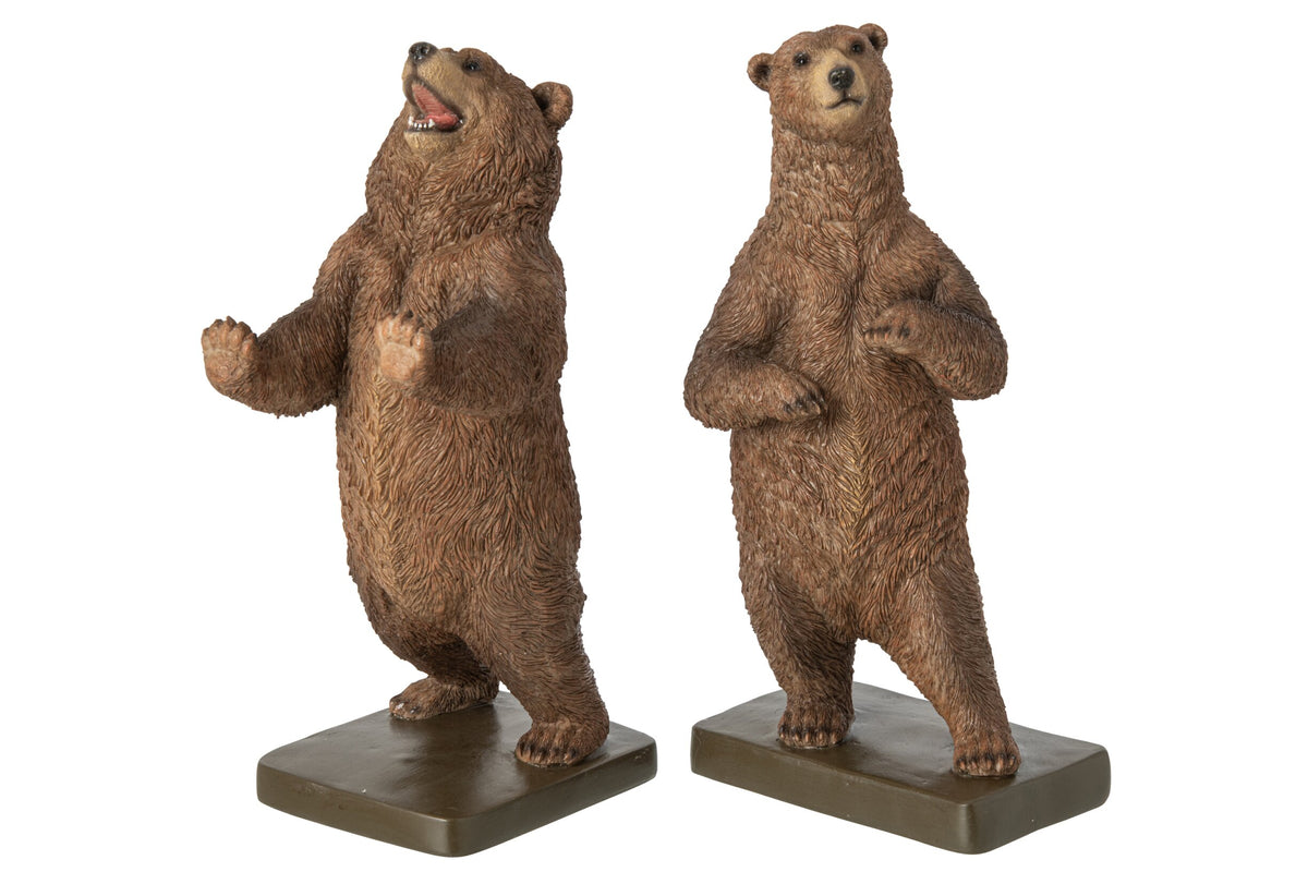 Fermalibro decoro orso
