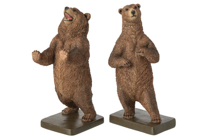 Fermalibro decoro orso