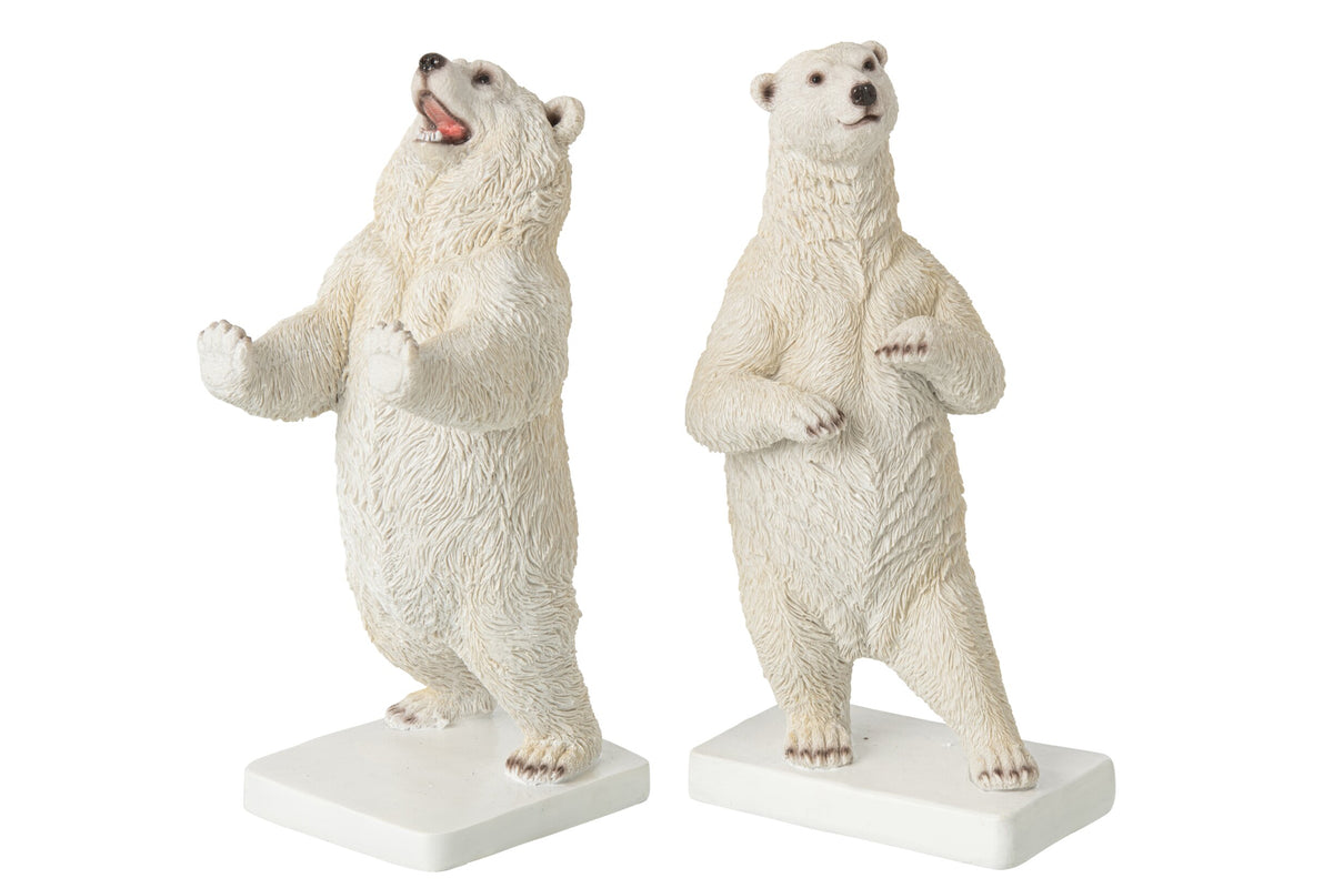 Fermalibro decoro orso