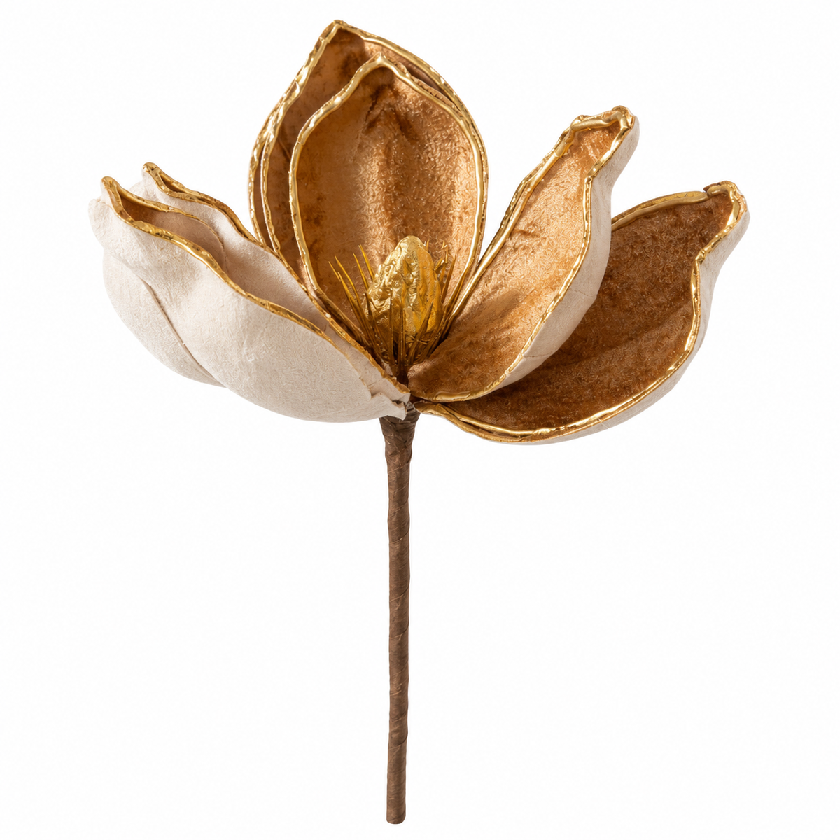 Fiore Magnolia marrone