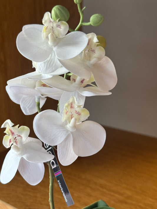 Pianta di Orchidea finta