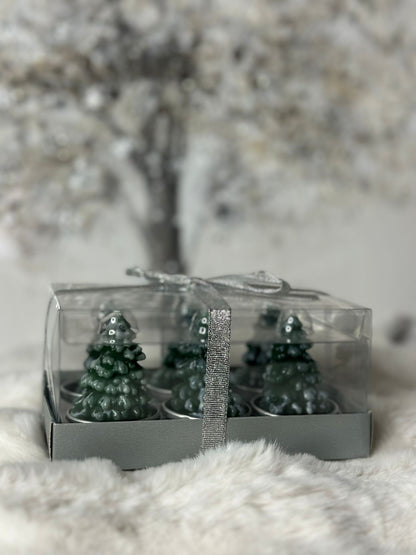 candele- alberi