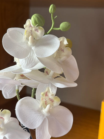 Pianta di Orchidea finta