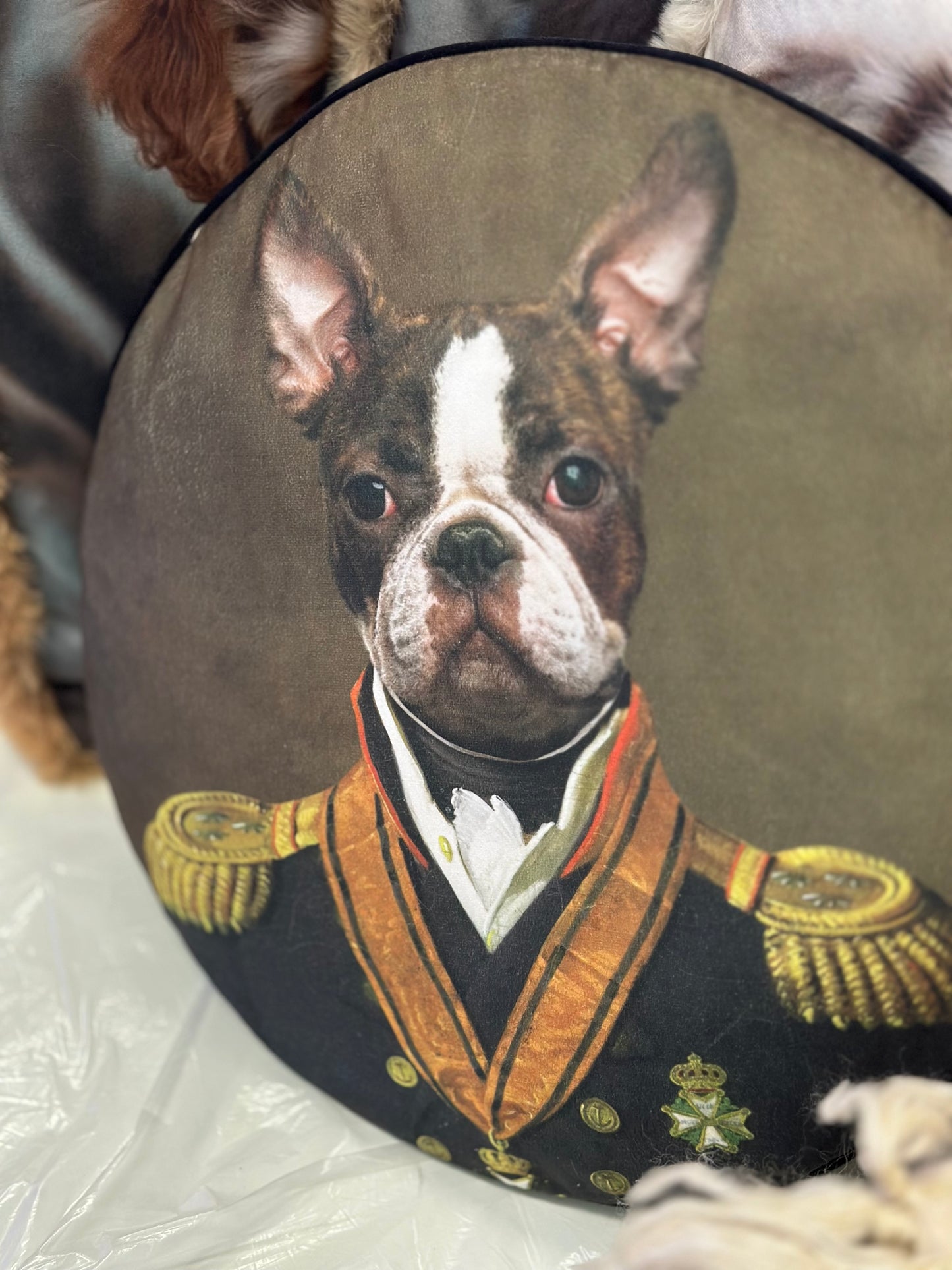 Cuscino tondo verde con cane in velluto| Blanc Mariclò