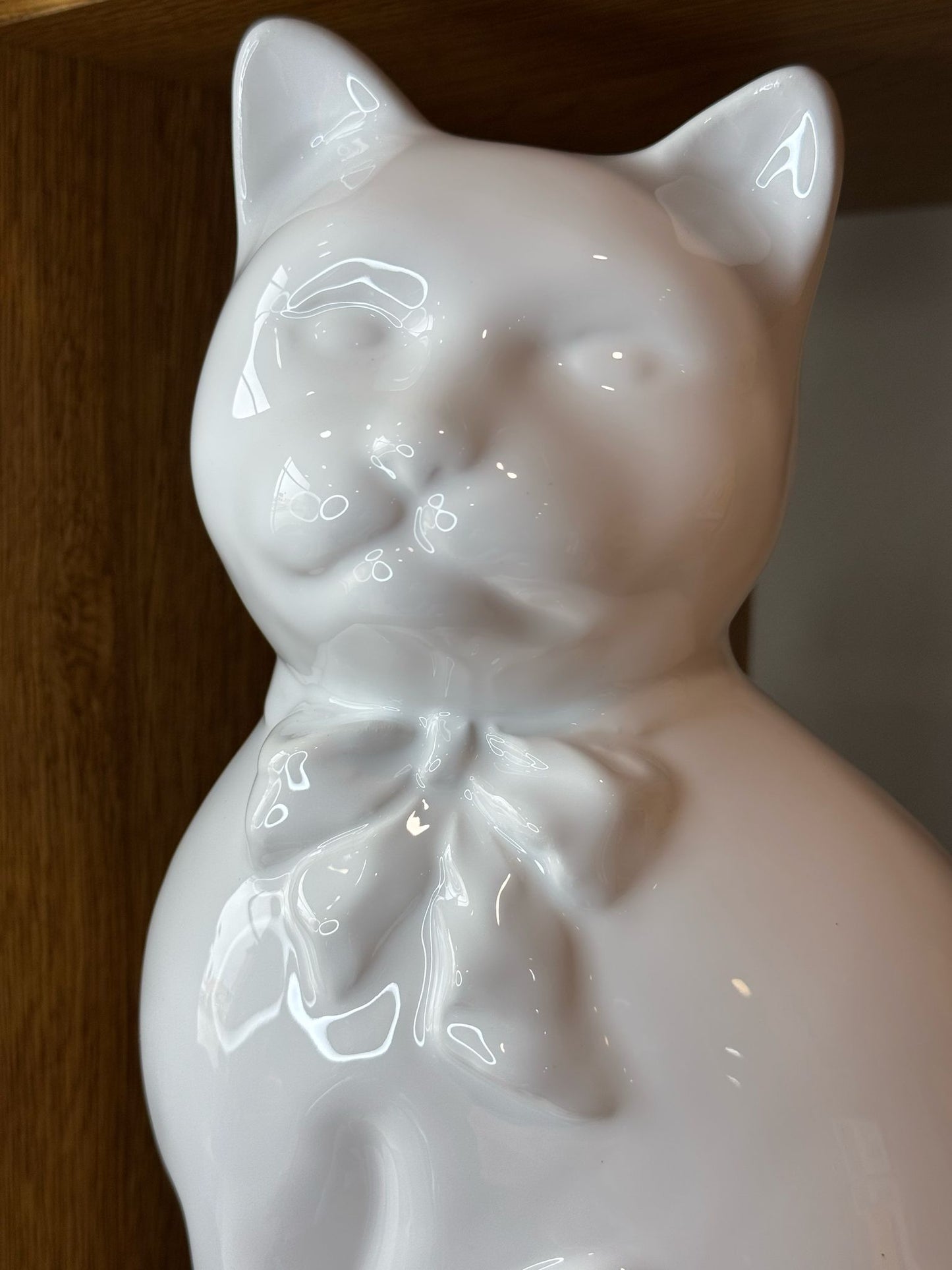 Gatto grande