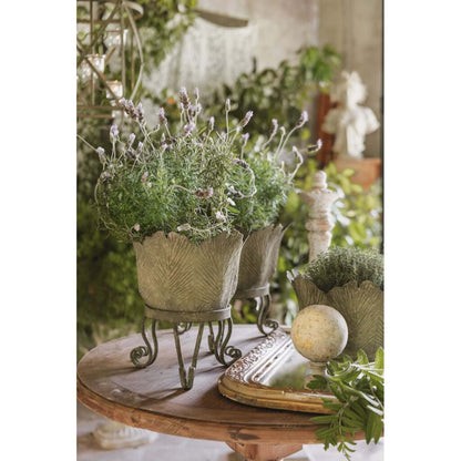 Porta piante | Blanc Mariclò