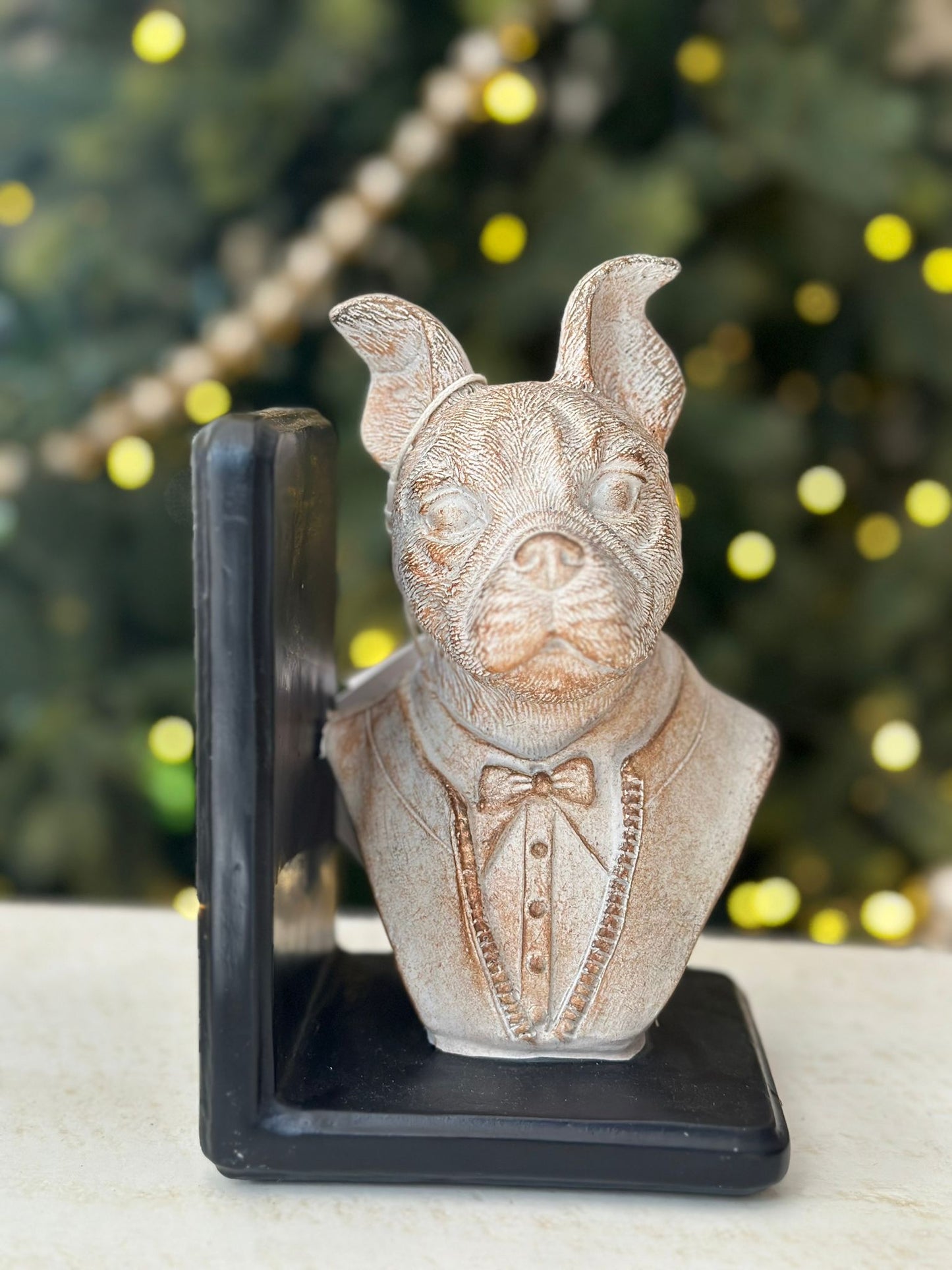 fermalibri con decoro cane
