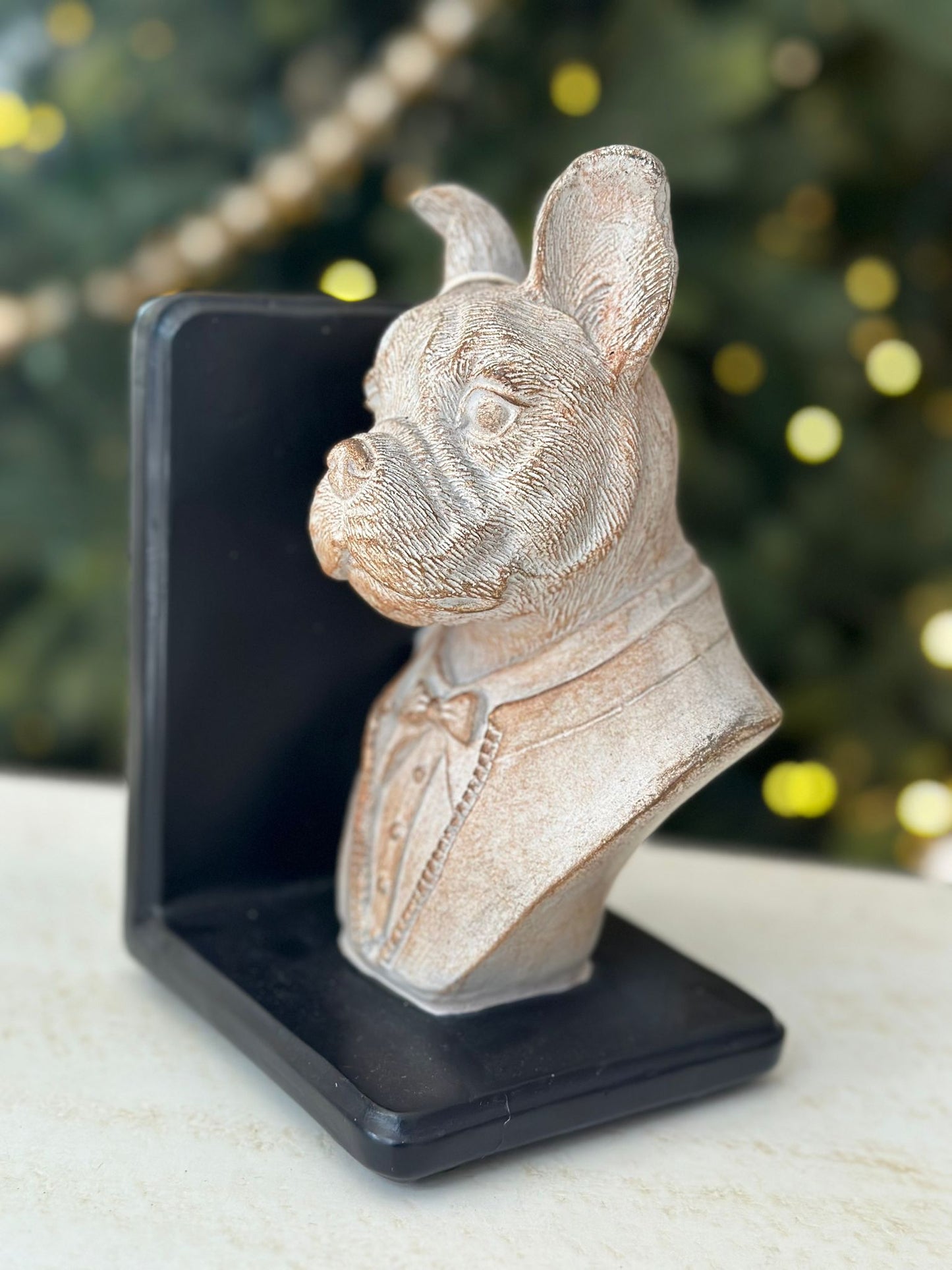 fermalibri con decoro cane