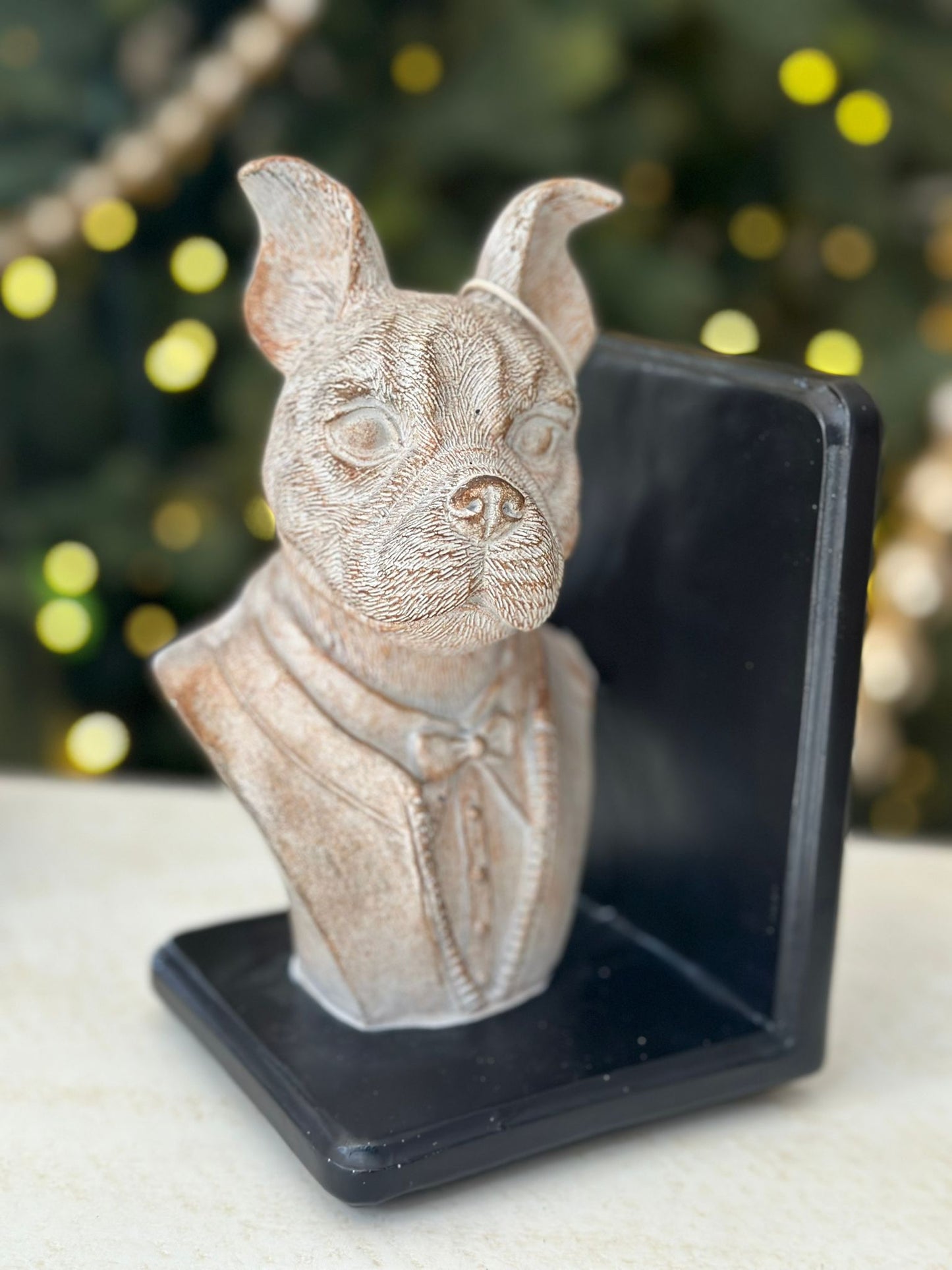 fermalibri con decoro cane