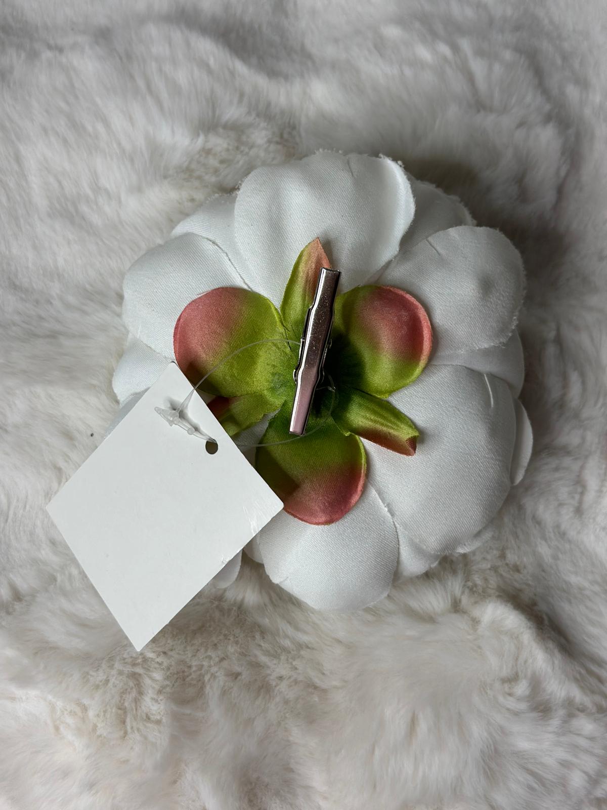 Peonia innevata con clip