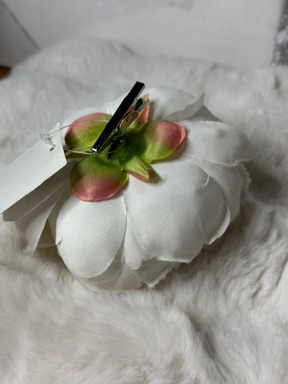Peonia innevata con clip