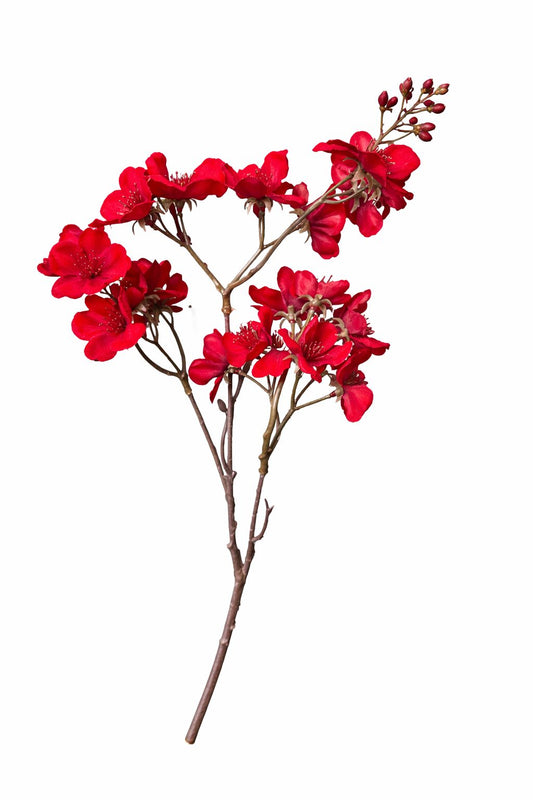 Ramo con fiori ciliegio rossi h.510| Carta I Bassanesi