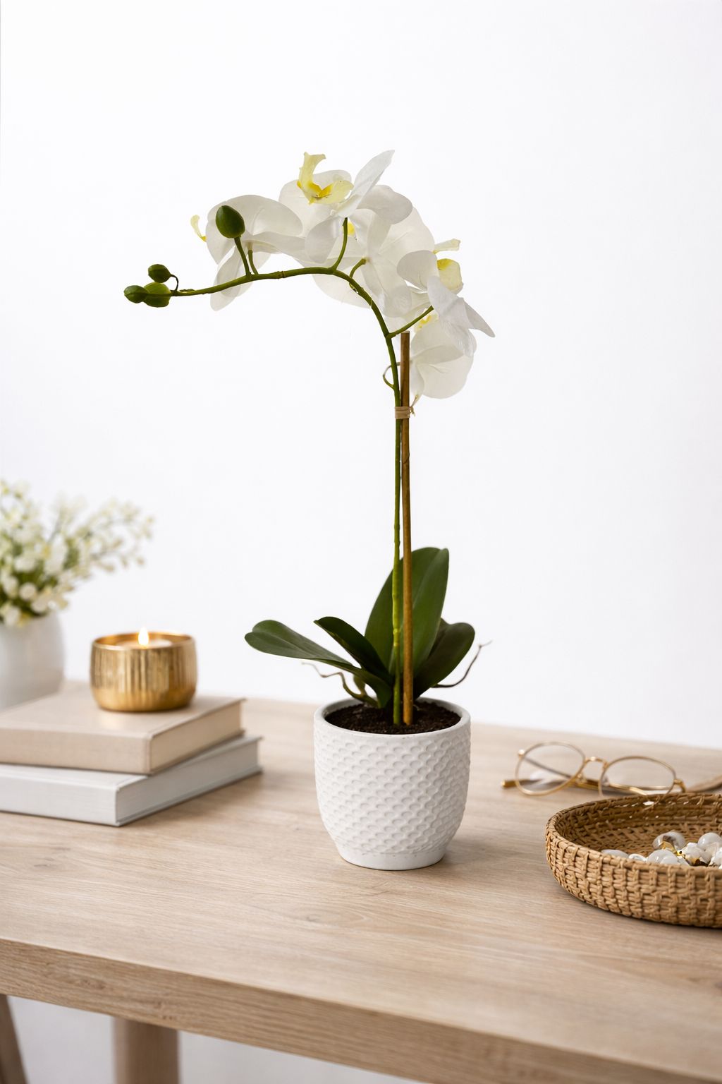 Orchidea  bianca e gialla con vaso bianco|Belda