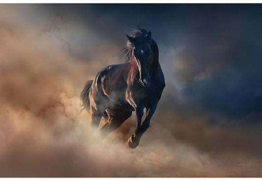 Quadro raffigurante cavallo| Belda