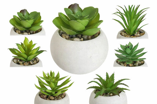 Piantinina grassa artificiale