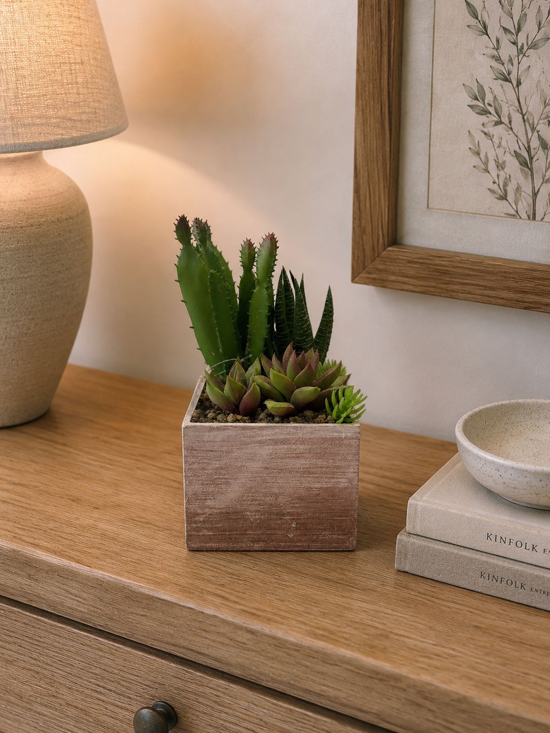 Pianta grassa con vasetto h17xl10| Bruco