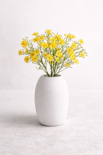 Fiori di Camomilla