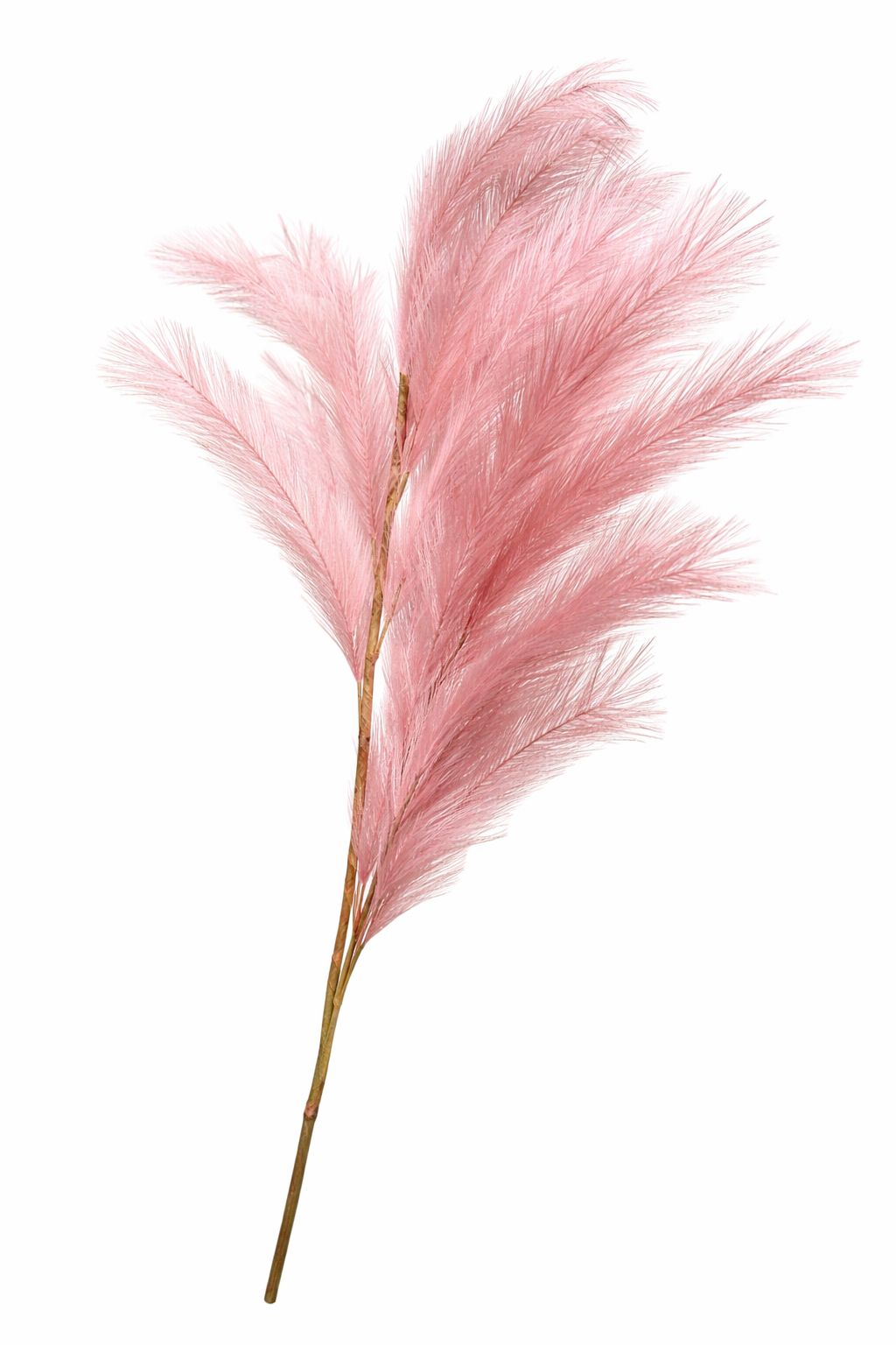Pam Pas rosa-bianco| Dino Bianchi