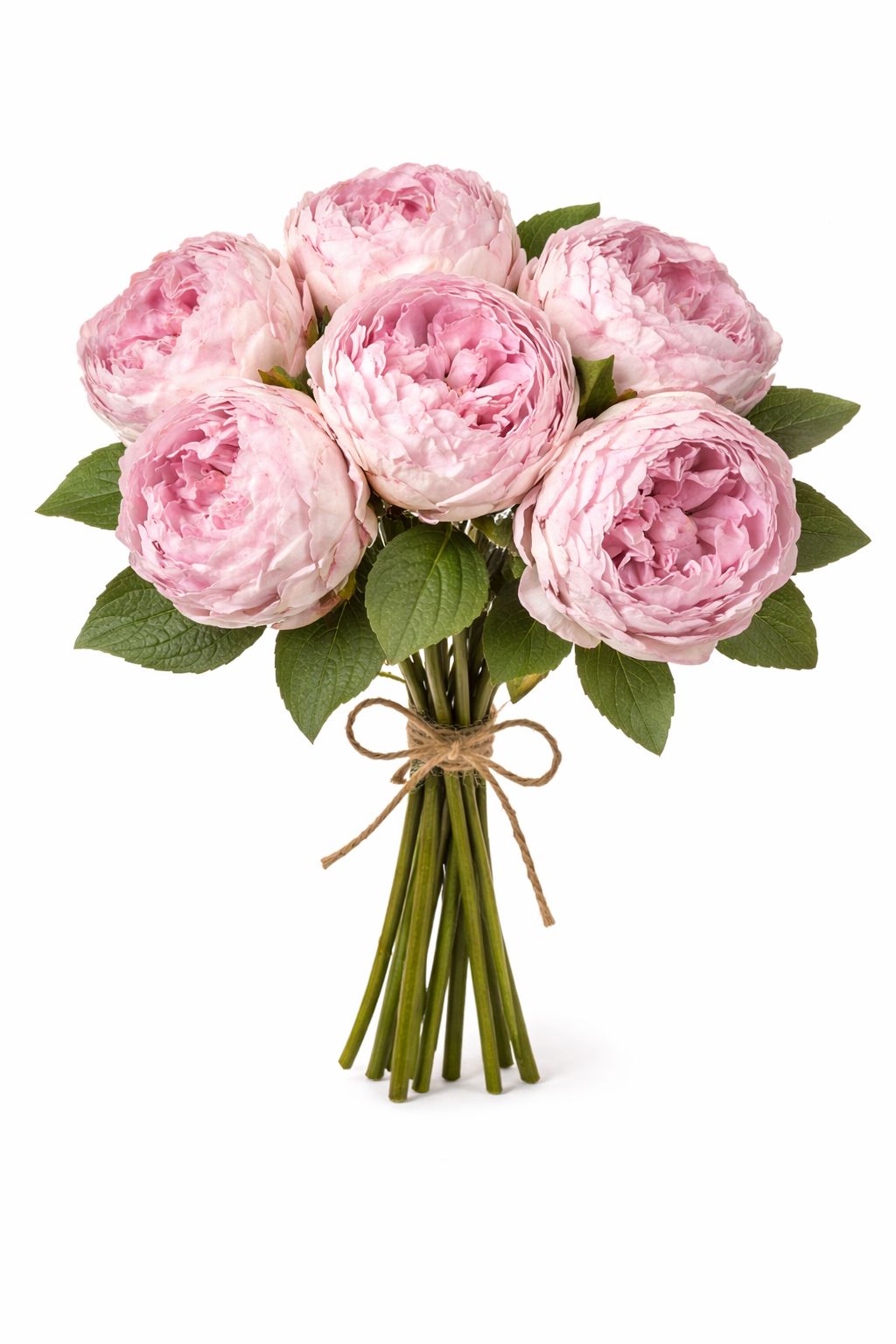 Bouquet 6 Peonie | Bruco