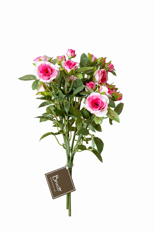 Fiori fucsia e bianchi|Bruco