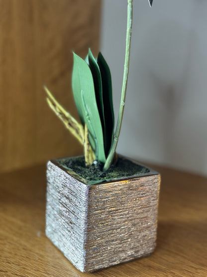 Pianta di Orchidea finta