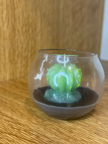 Candela cactus