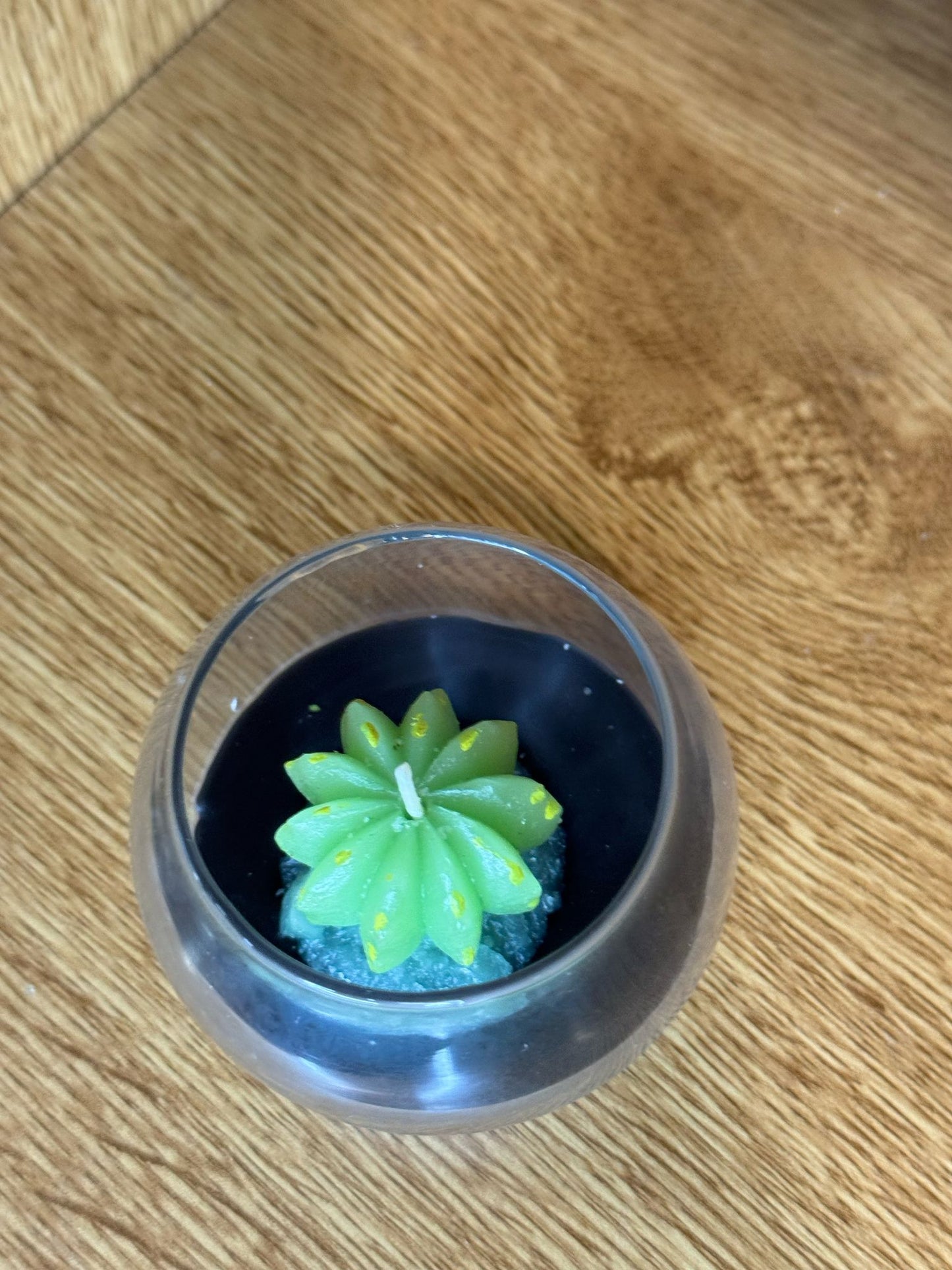 Candela cactus