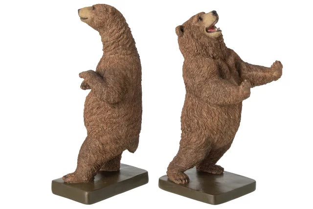 Fermalibro decoro orso