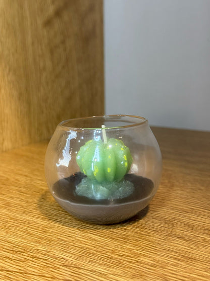 Candela cactus